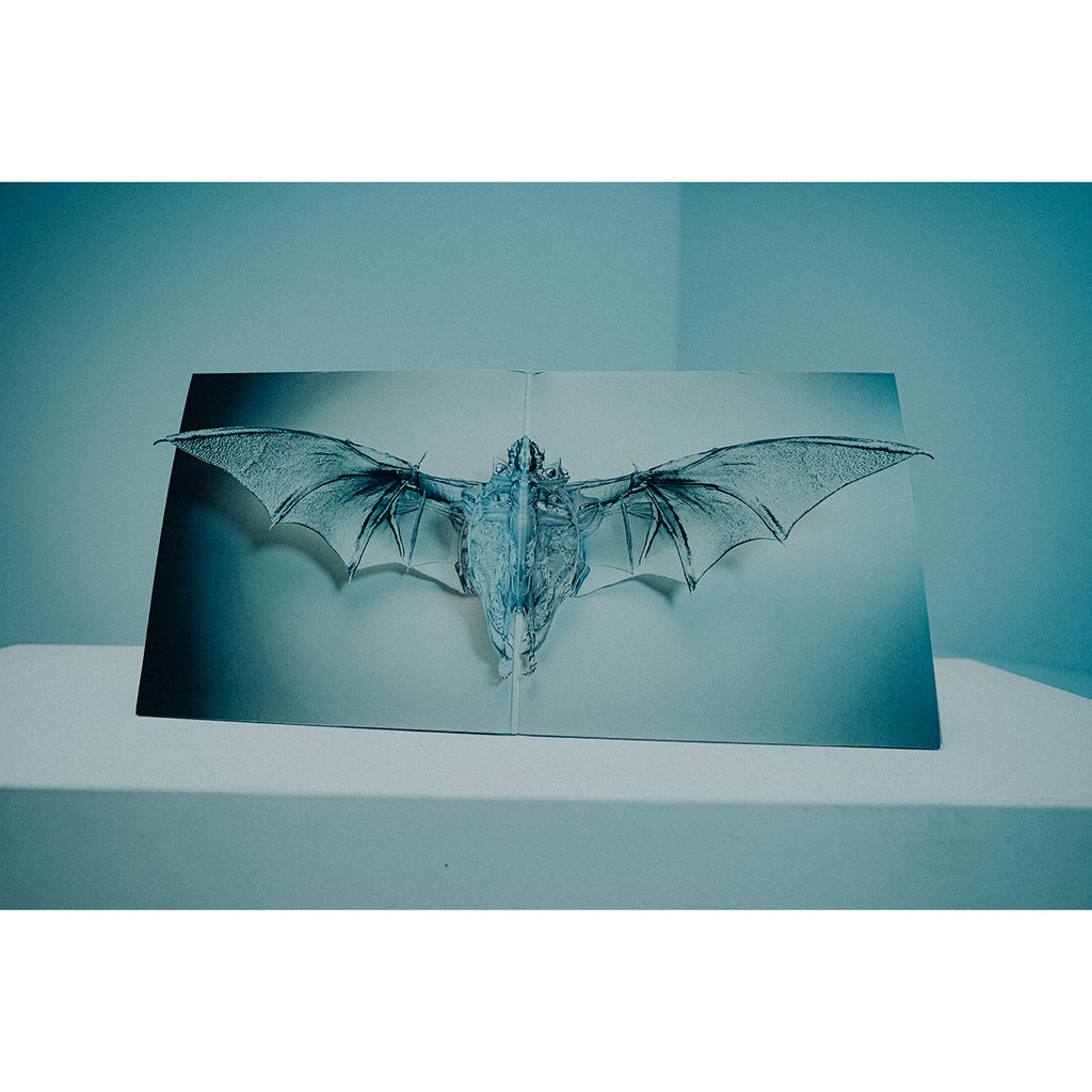 Angel 2x12"