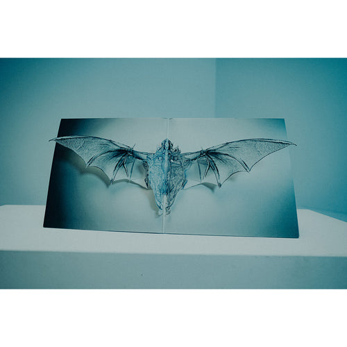 Angel 2x12"
