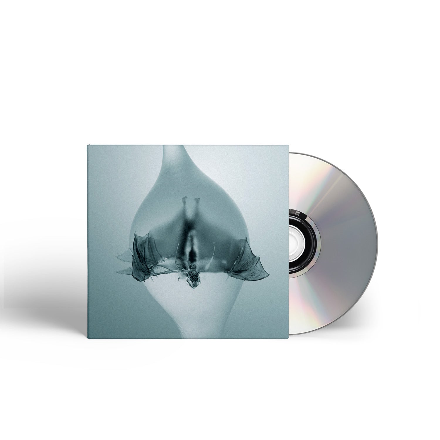 Angel CD