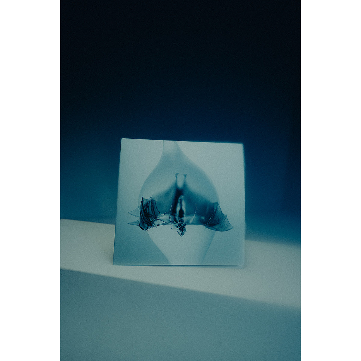 Angel CD