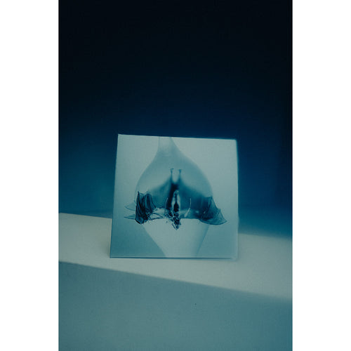 Angel CD